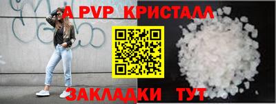шишки Шелехов