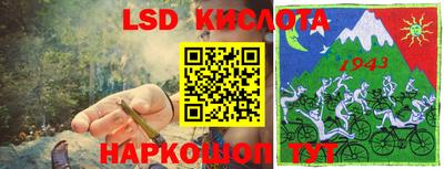шишки Шелехов