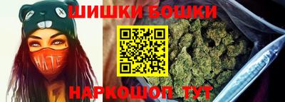 шишки Шелехов