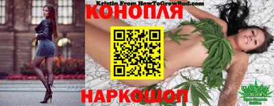 шишки Шелехов