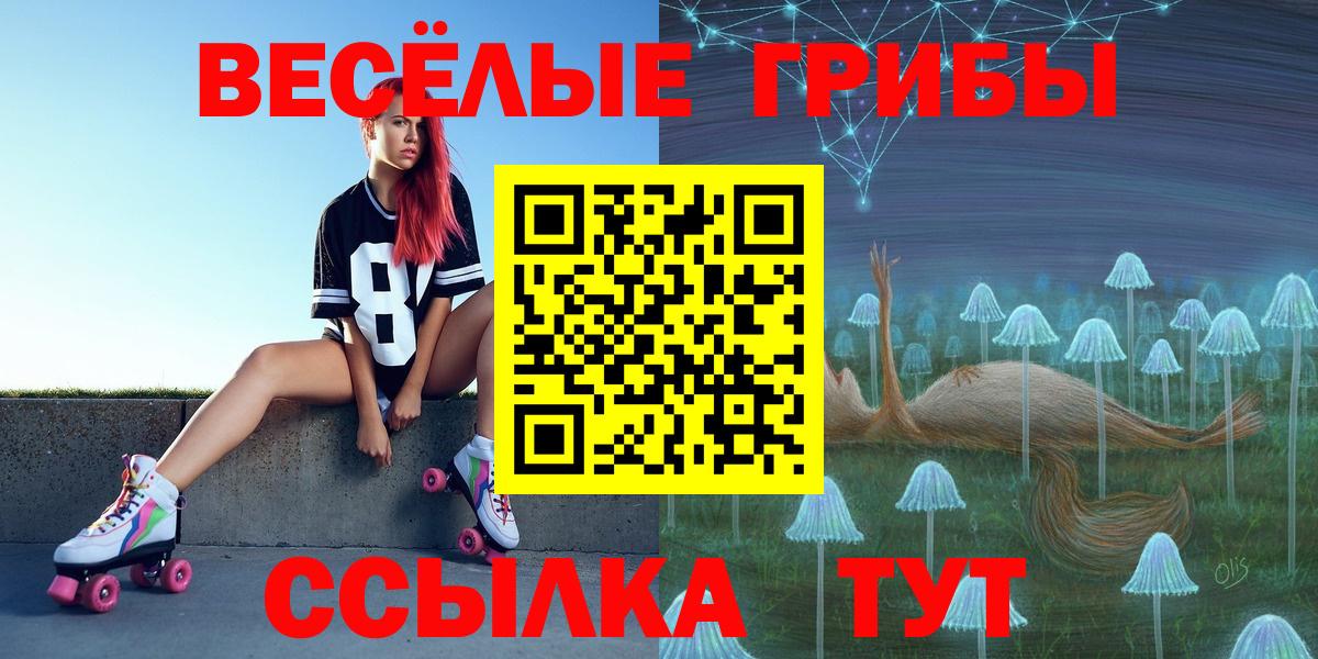 Брянск  Псилоцибиновые грибы Psilocybe  где купить наркоту  Вход с VPN 