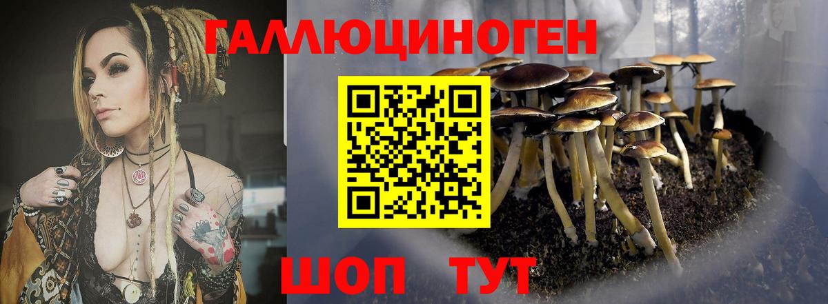 Галлюциногенные грибы ЛСД Брянск